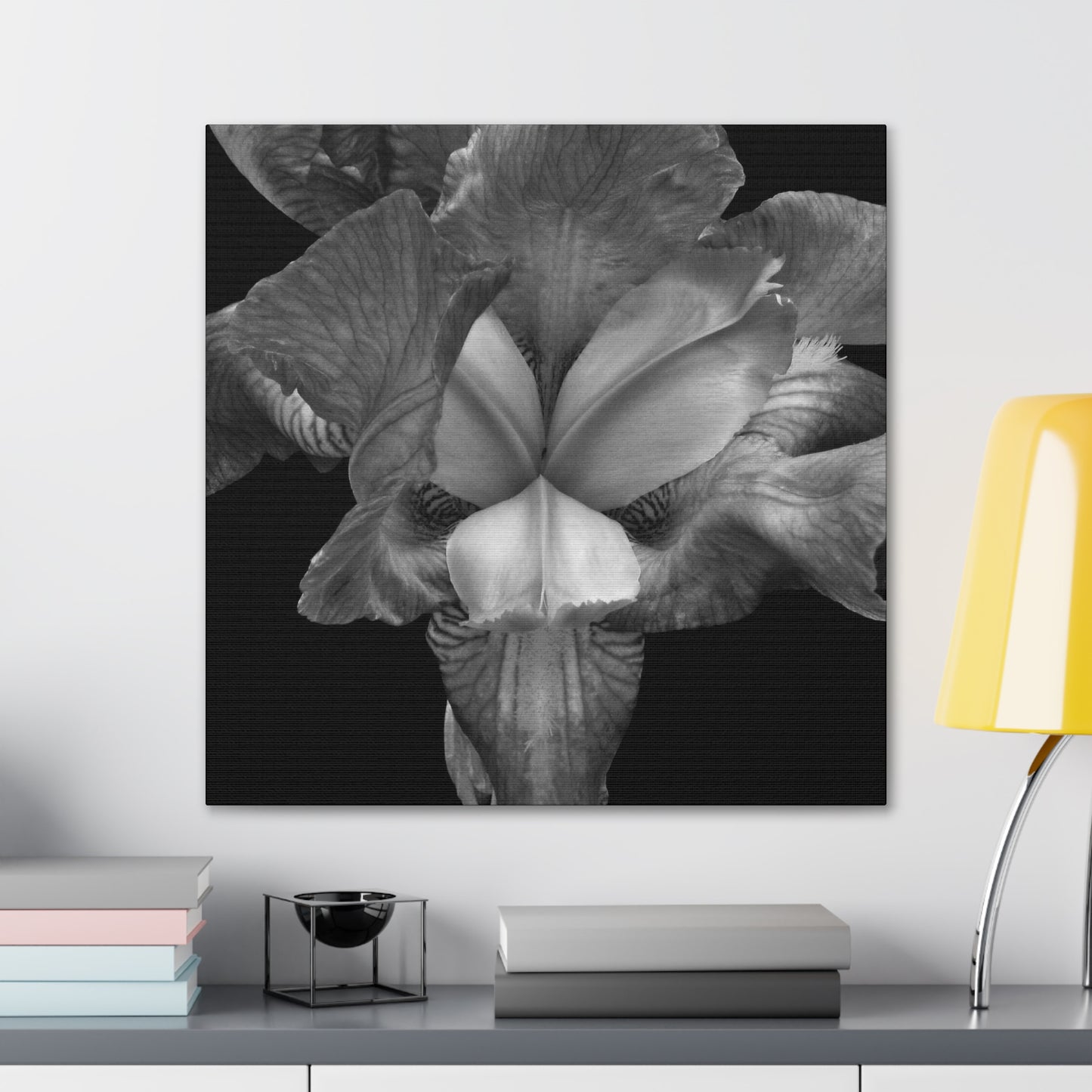 Iris - Jon Carrasco Curations Black and White Collection