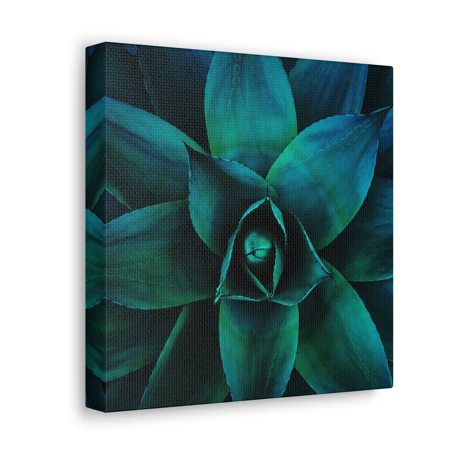 Agave 3- Jon Carrasco Curations Gardens of the World Collection