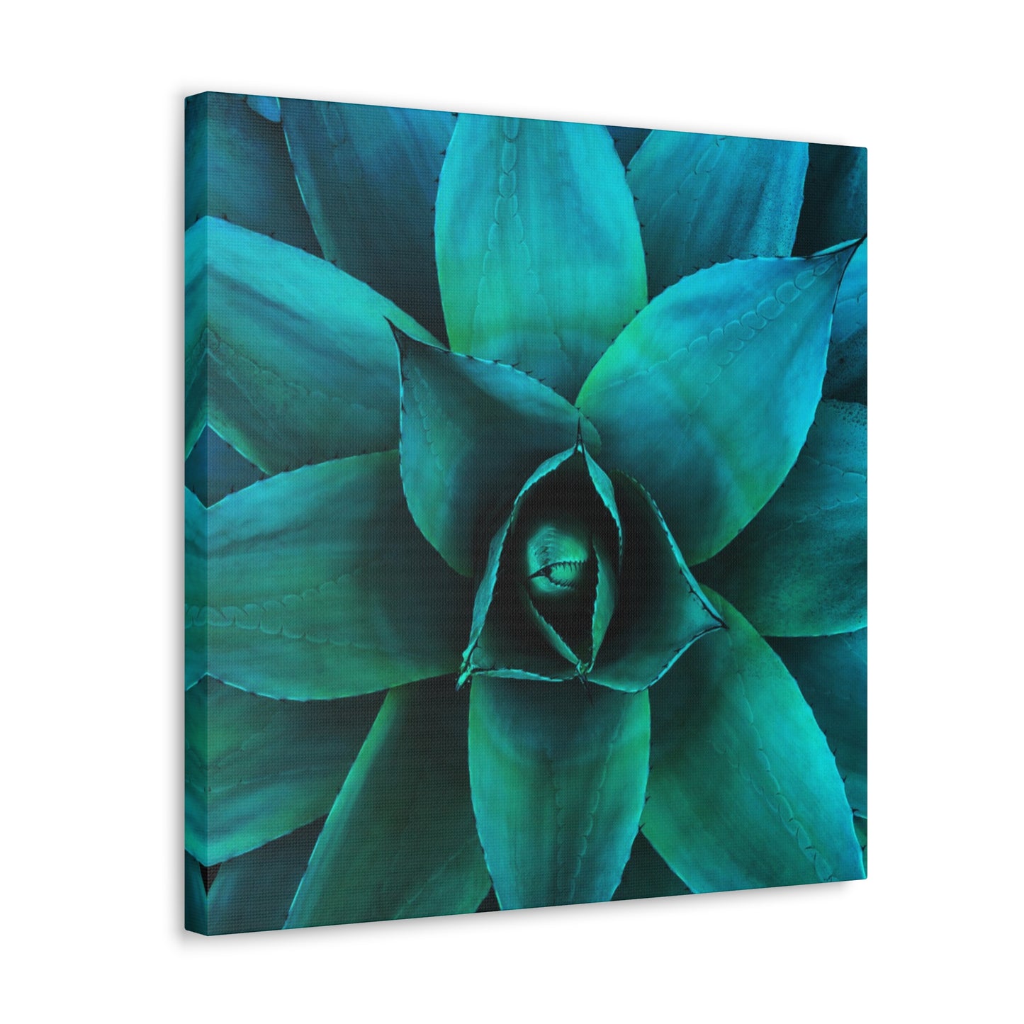 Agave 2- Jon Carrasco Curations Gardens of the World Collection