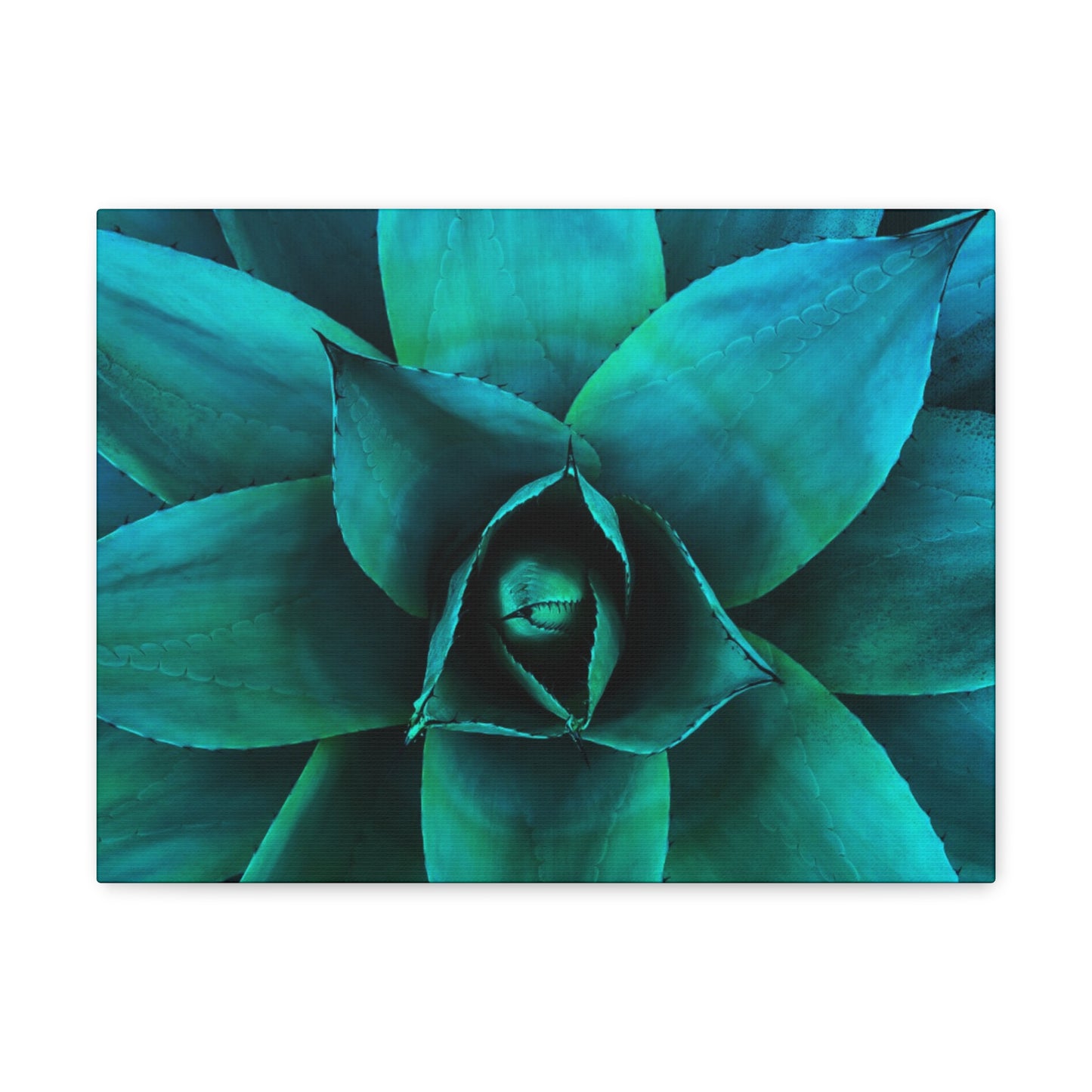 Agave 2- Jon Carrasco Curations Gardens of the World Collection