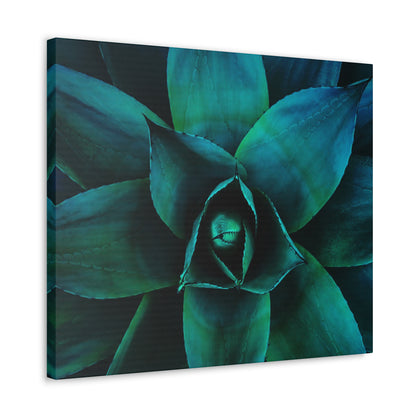 Agave 3- Jon Carrasco Curations Gardens of the World Collection