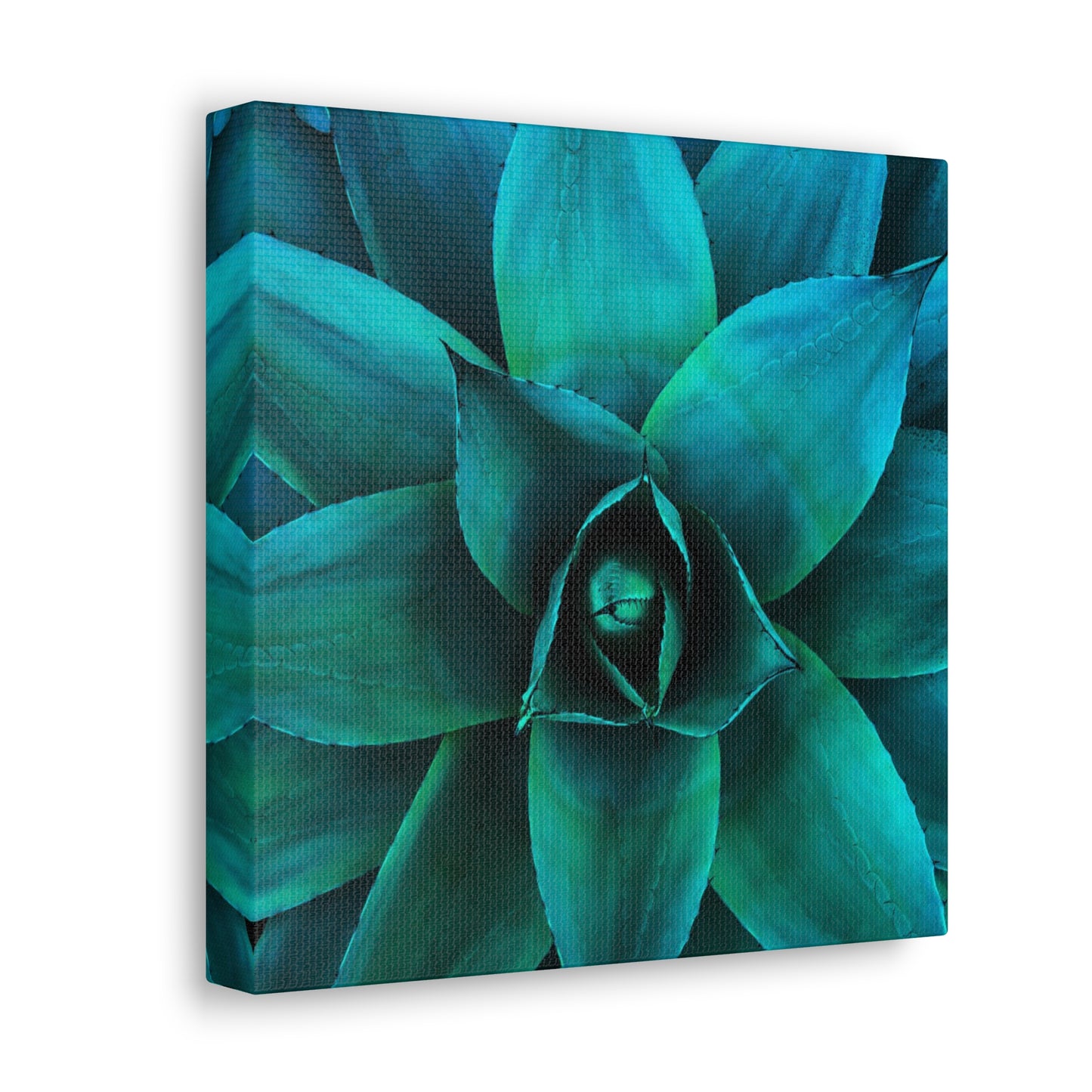 Agave 2- Jon Carrasco Curations Gardens of the World Collection