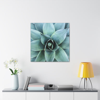 Agave 1- Jon Carrasco Curations Gardens of the World Collection