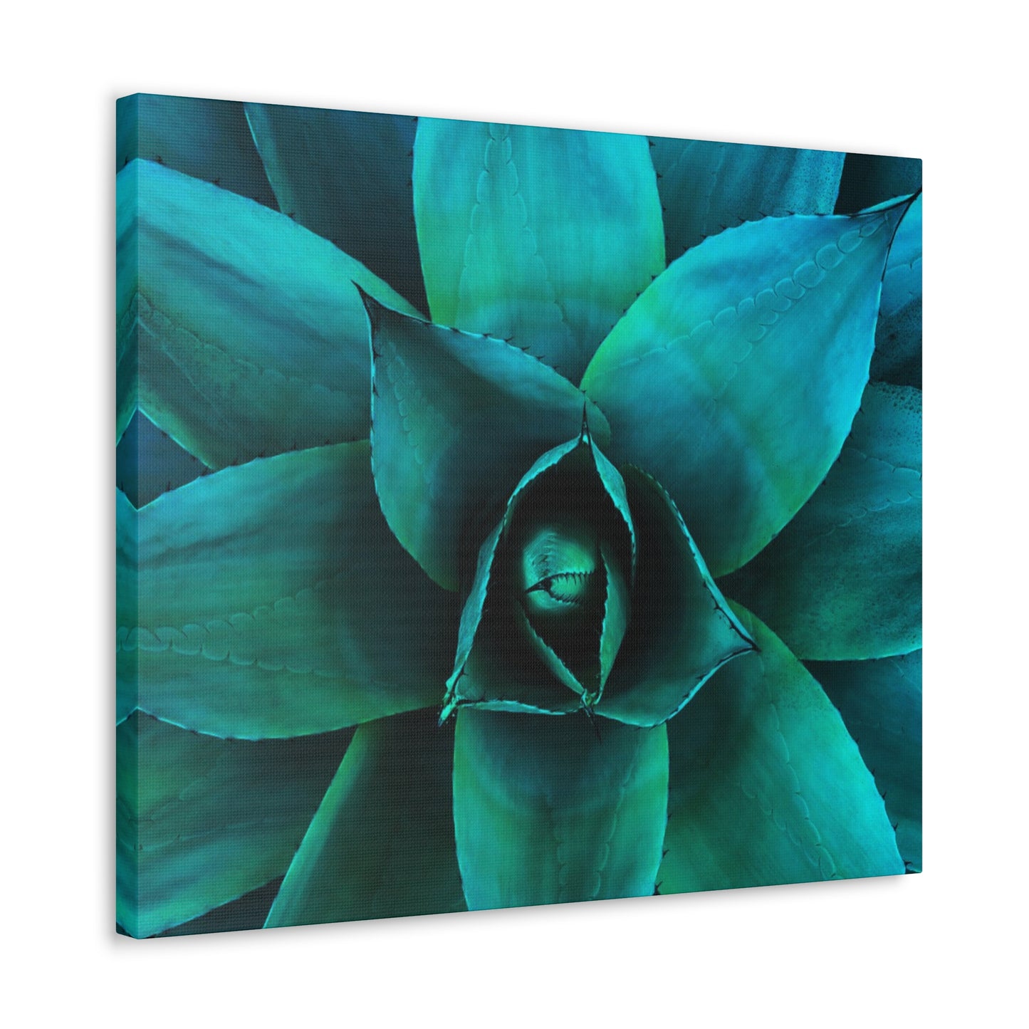 Agave 2- Jon Carrasco Curations Gardens of the World Collection