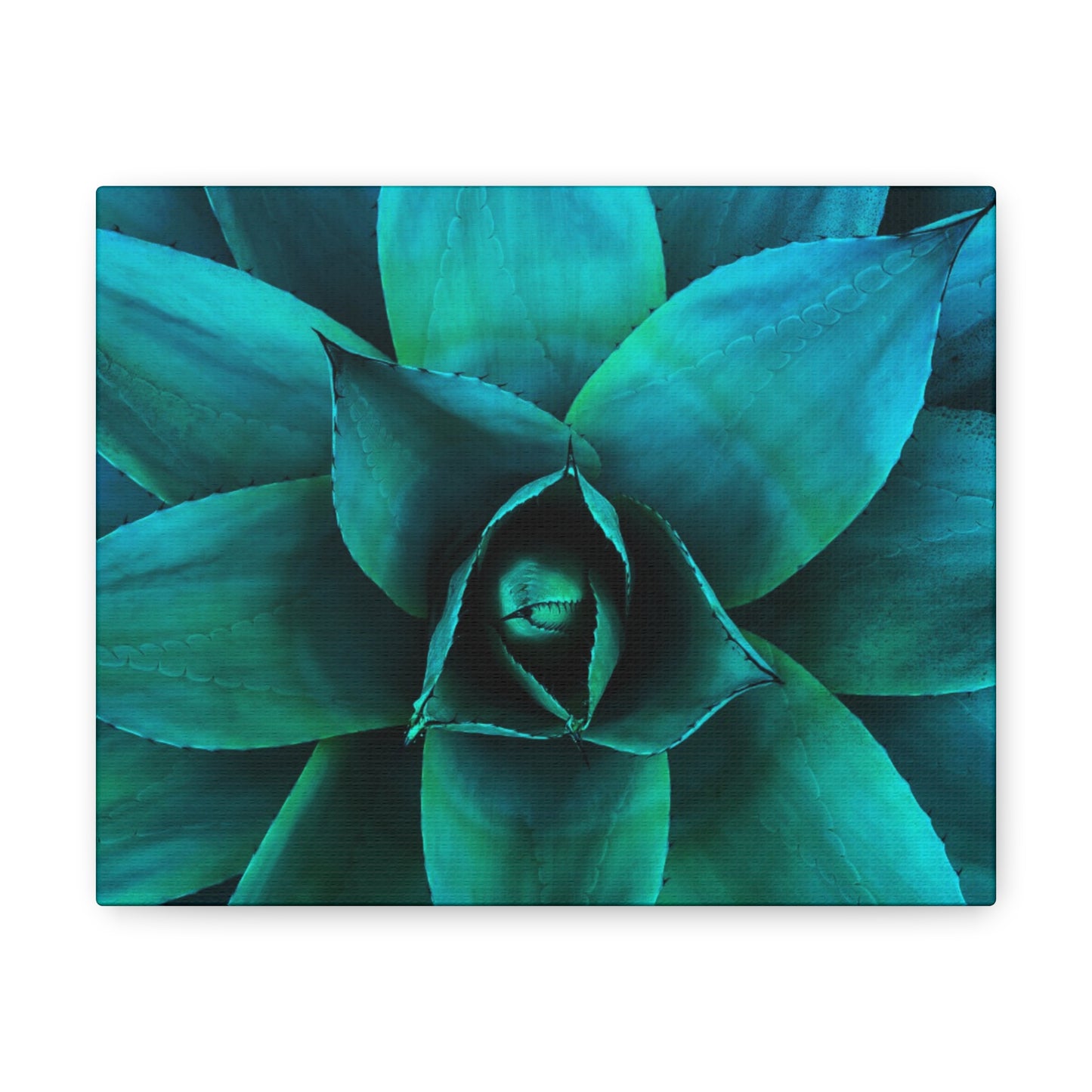 Agave 2- Jon Carrasco Curations Gardens of the World Collection