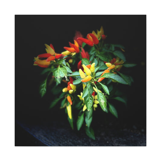 Peppers - Jon Carrasco Curations Gardens of the World Collection