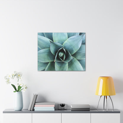 Agave 1- Jon Carrasco Curations Gardens of the World Collection