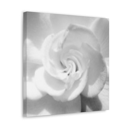 Abstract Gardenia- Jon Carrasco Curations Gardens of the World Collection