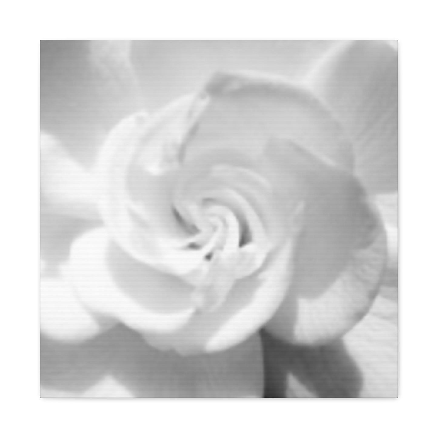 Abstract Gardenia- Jon Carrasco Curations Gardens of the World Collection