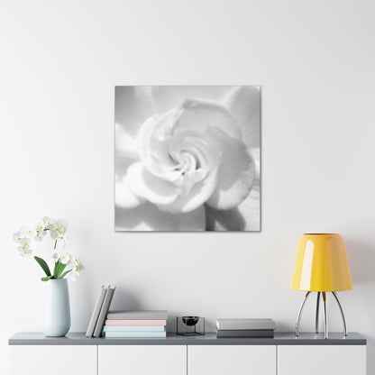 Abstract Gardenia- Jon Carrasco Curations Gardens of the World Collection