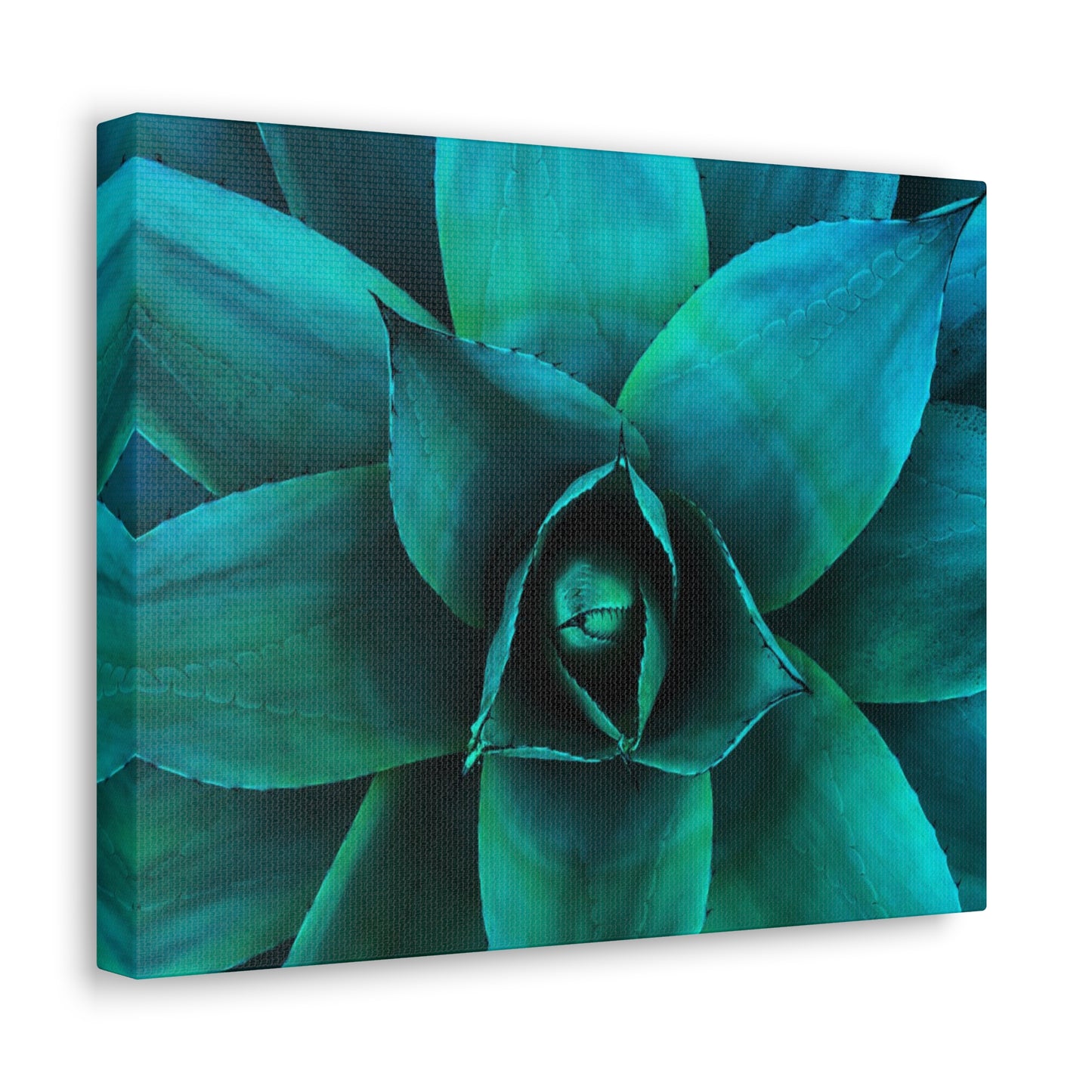 Agave 2- Jon Carrasco Curations Gardens of the World Collection