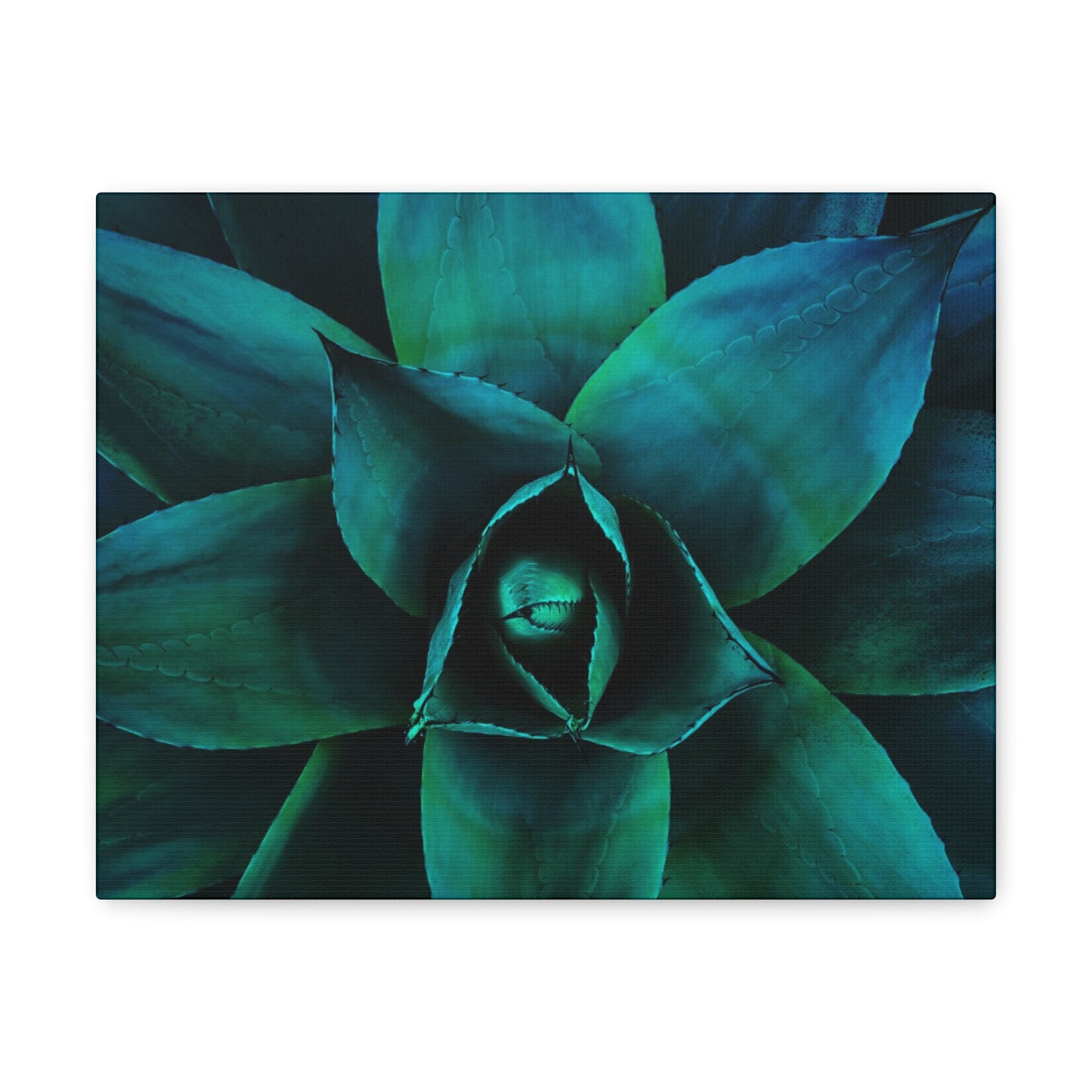 Agave 3- Jon Carrasco Curations Gardens of the World Collection