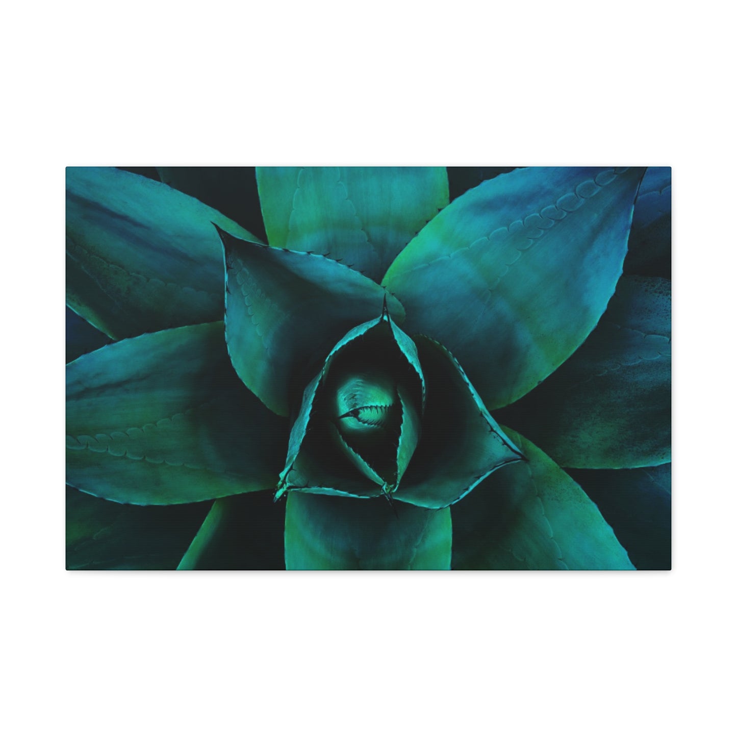 Agave 3- Jon Carrasco Curations Gardens of the World Collection