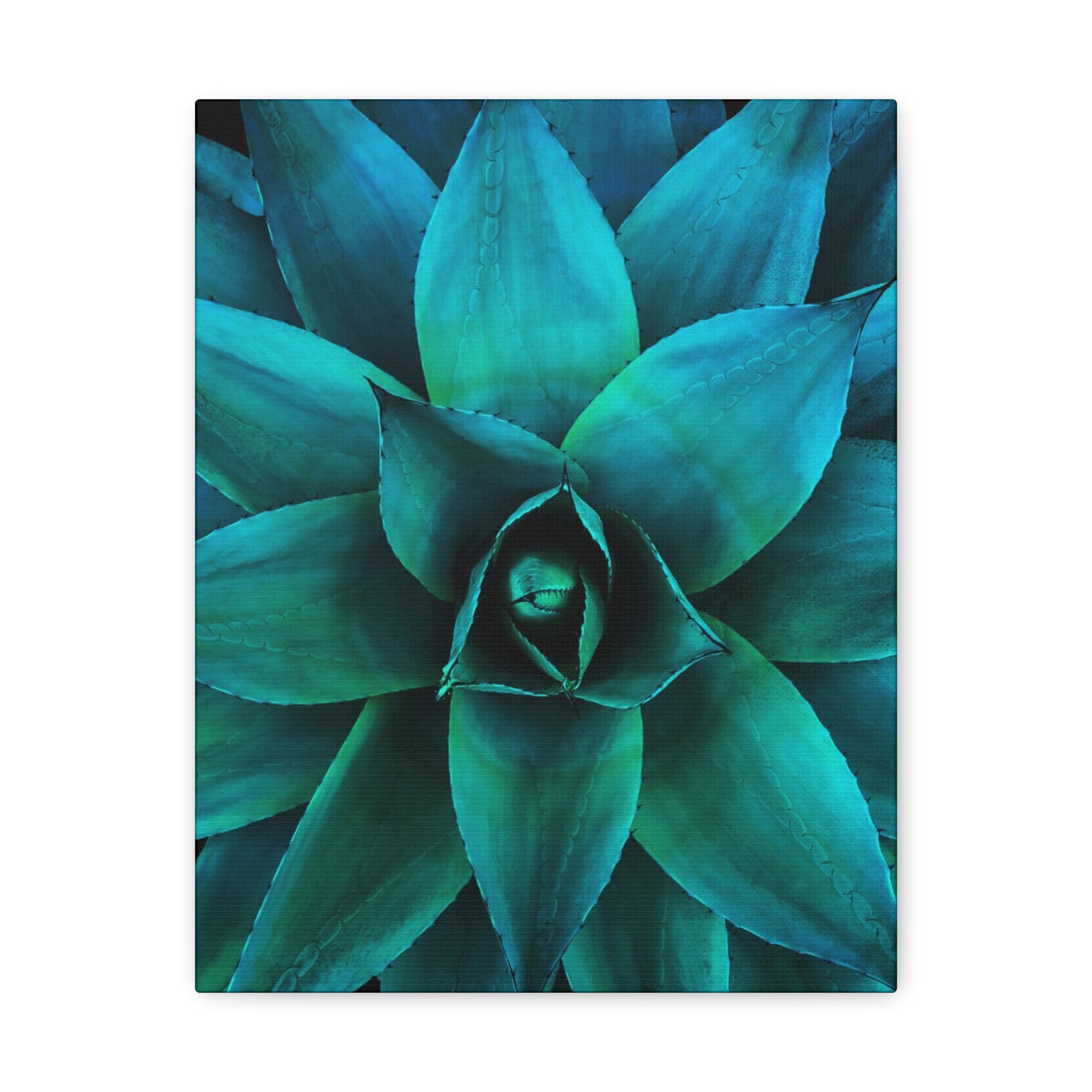 Agave 2- Jon Carrasco Curations Gardens of the World Collection