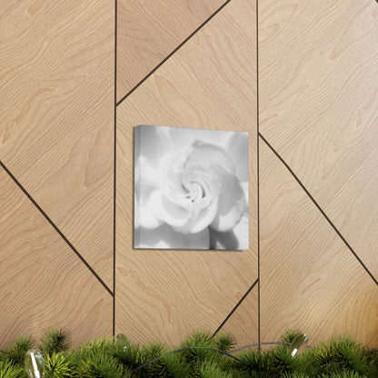 Abstract Gardenia- Jon Carrasco Curations Gardens of the World Collection