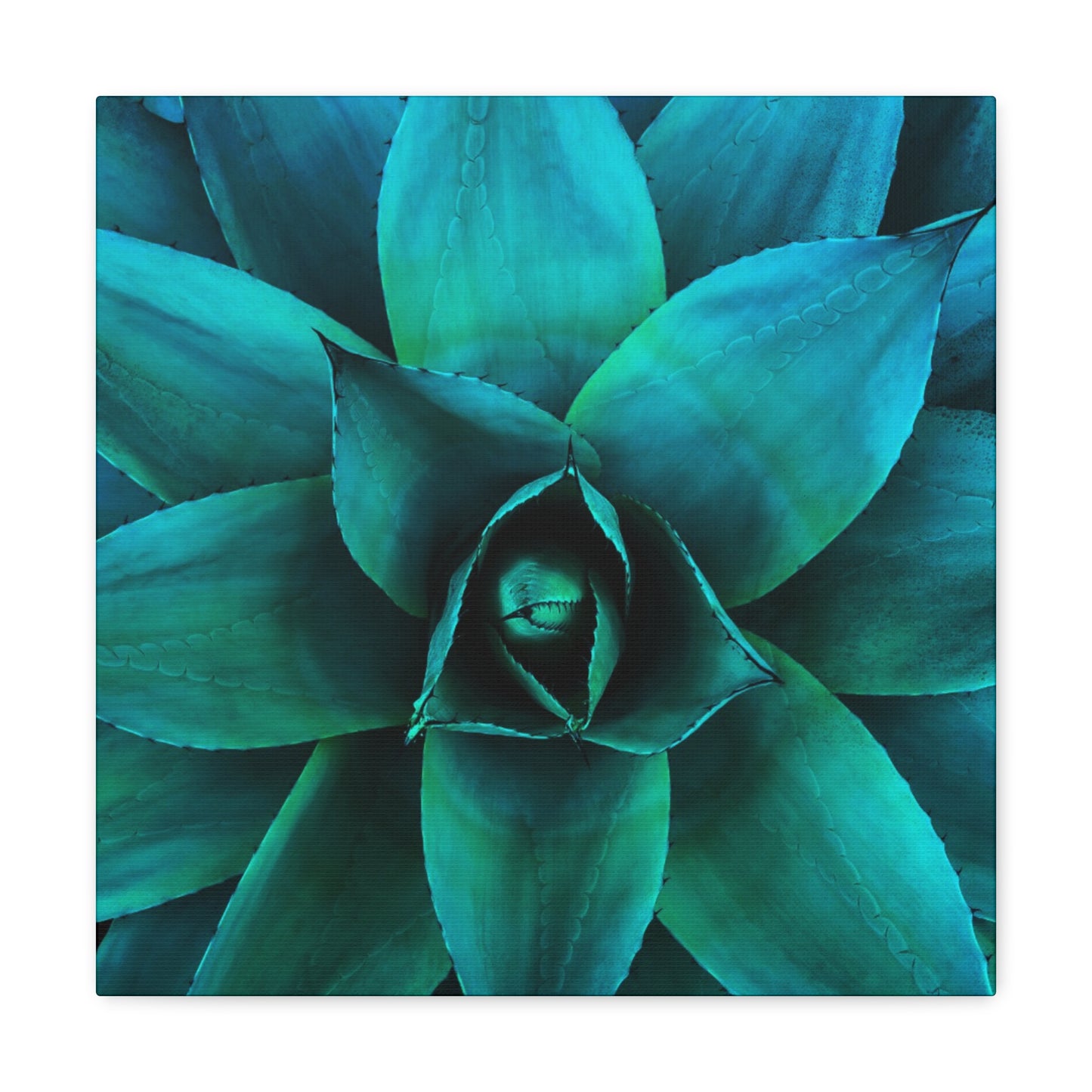 Agave 2- Jon Carrasco Curations Gardens of the World Collection