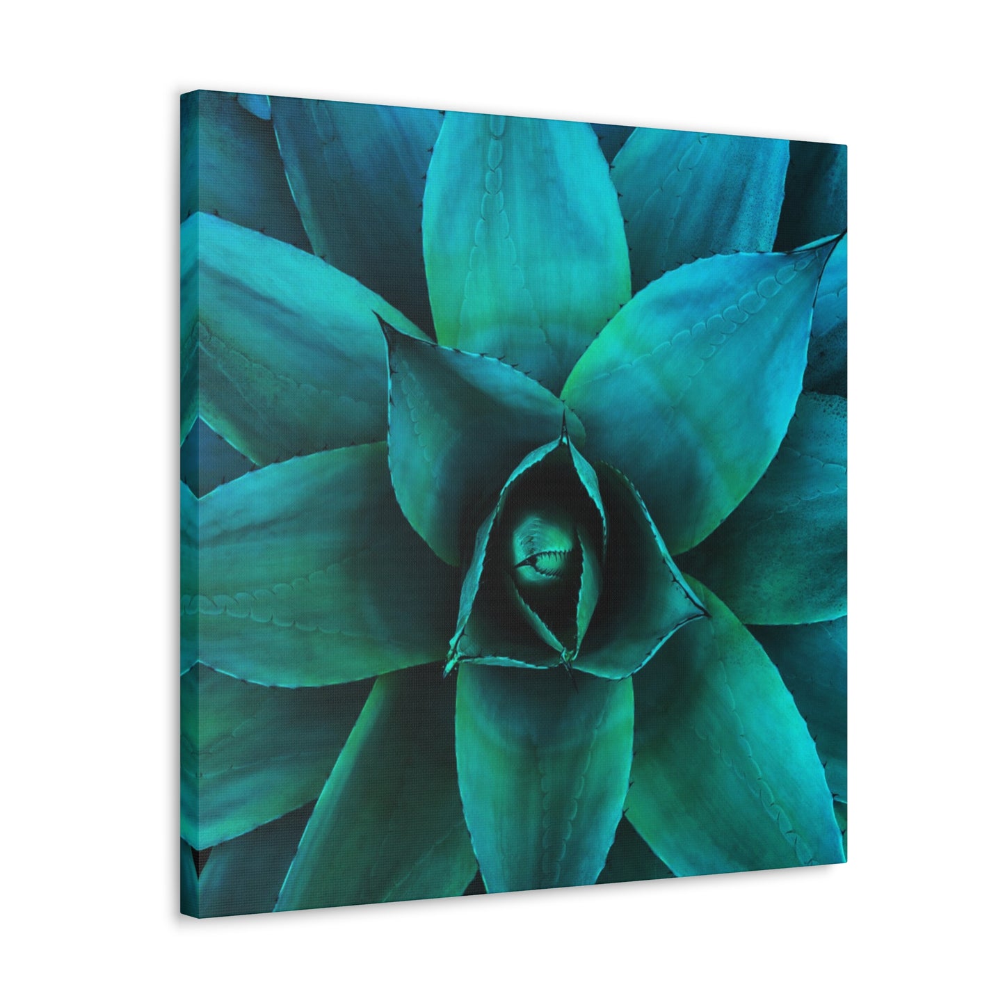 Agave 2- Jon Carrasco Curations Gardens of the World Collection