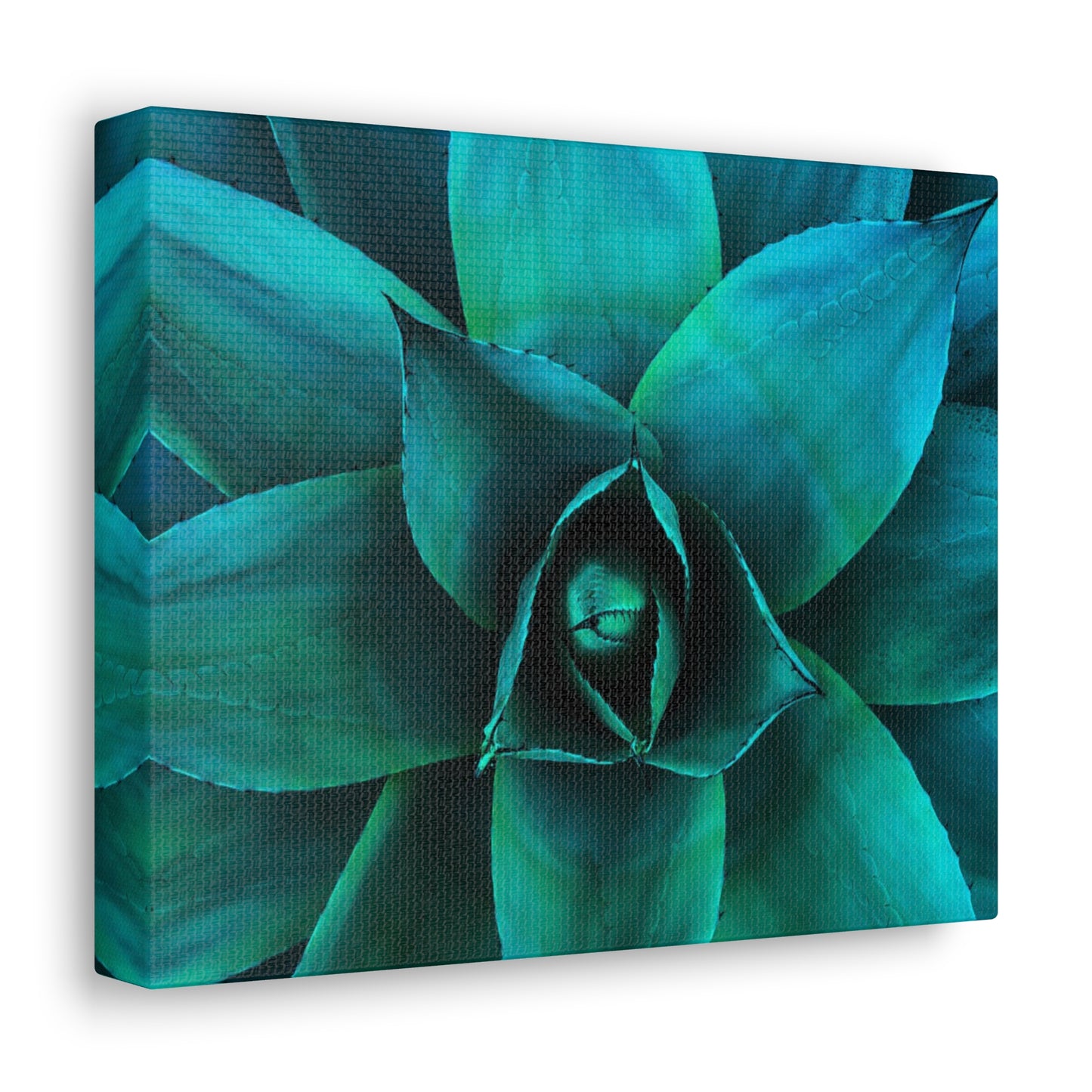 Agave 2- Jon Carrasco Curations Gardens of the World Collection