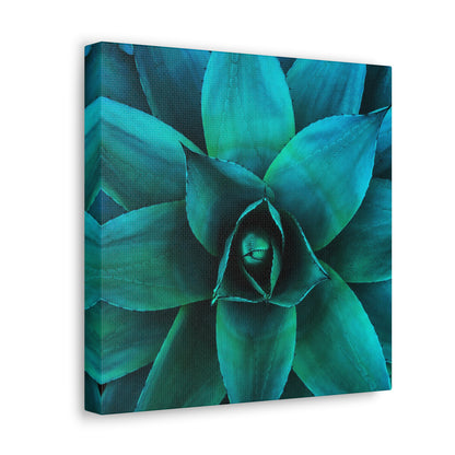 Agave 2- Jon Carrasco Curations Gardens of the World Collection