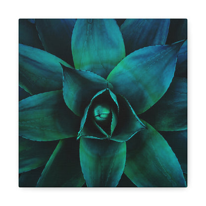 Agave 3- Jon Carrasco Curations Gardens of the World Collection