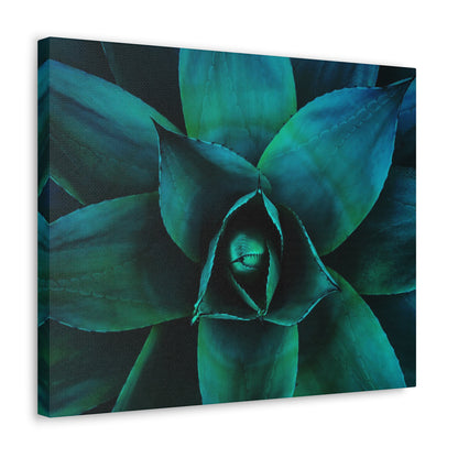 Agave 3- Jon Carrasco Curations Gardens of the World Collection