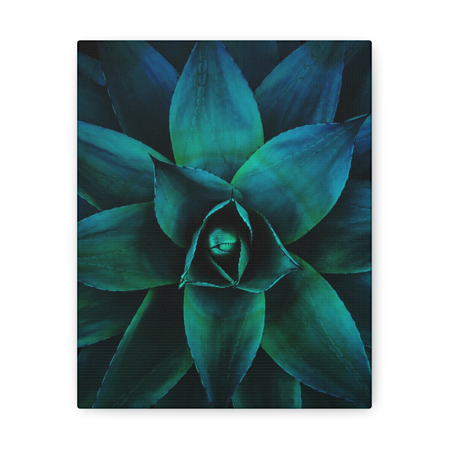 Agave 3- Jon Carrasco Curations Gardens of the World Collection