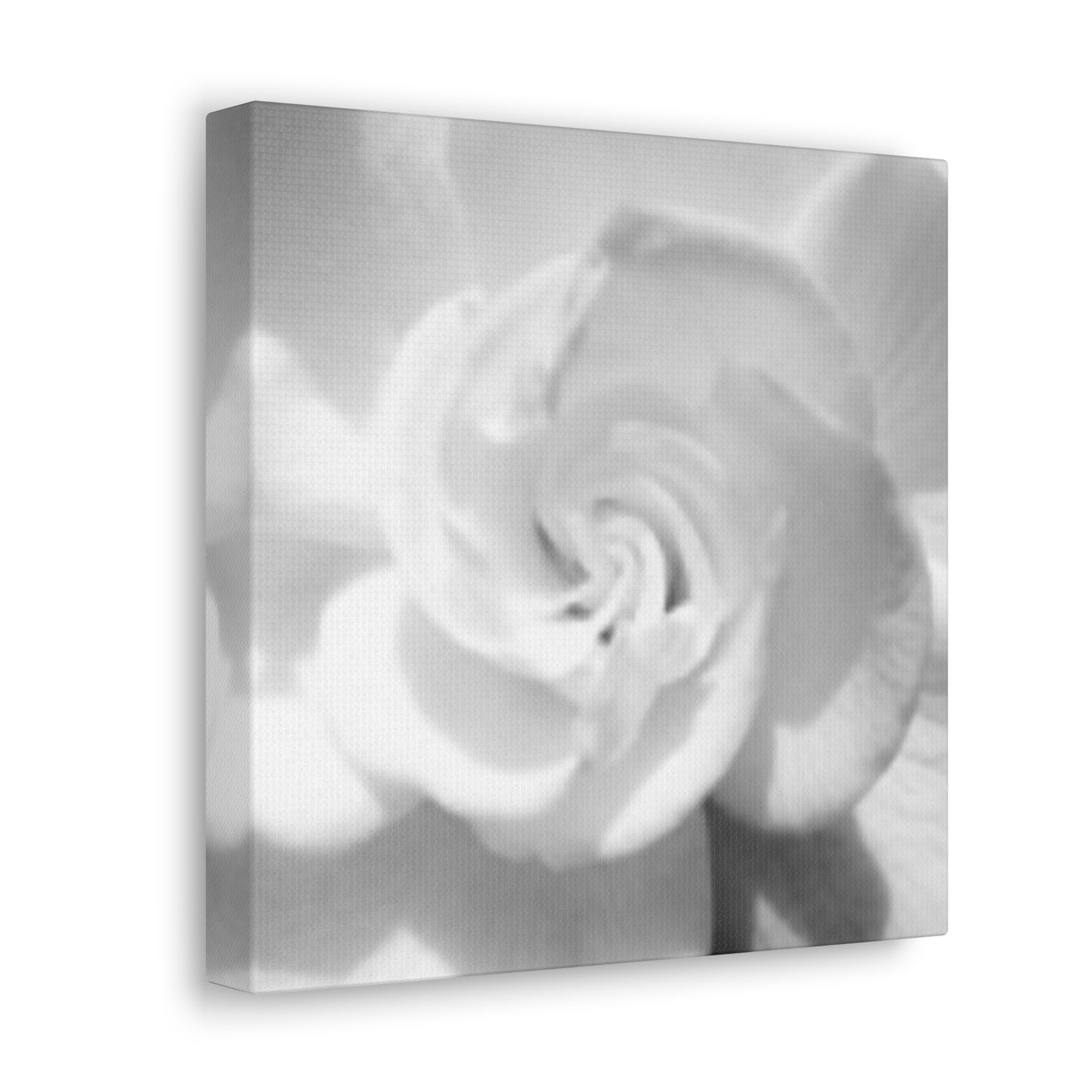 Abstract Gardenia- Jon Carrasco Curations Gardens of the World Collection