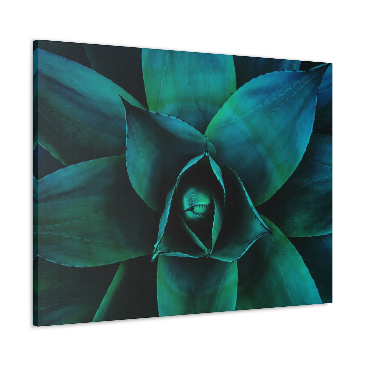 Agave 3- Jon Carrasco Curations Gardens of the World Collection