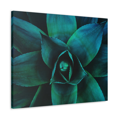 Agave 3- Jon Carrasco Curations Gardens of the World Collection