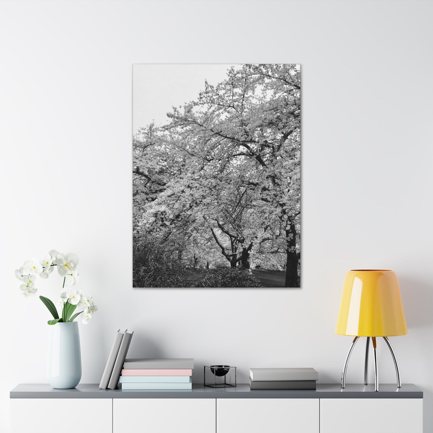 Cherry Blossom - Jon Carrasco Curations Black and White Collection