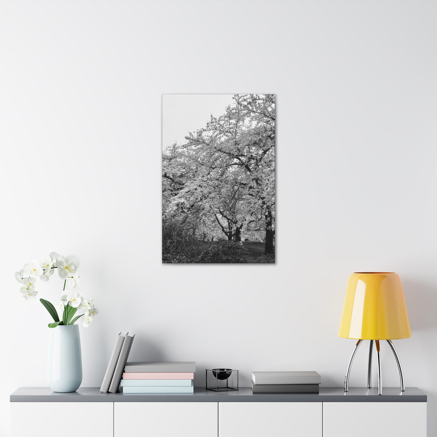 Cherry Blossom - Jon Carrasco Curations Black and White Collection