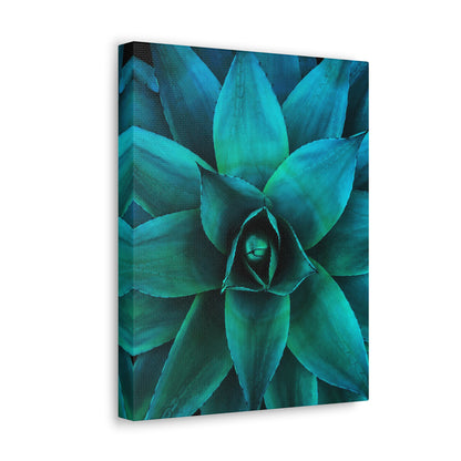 Agave 2- Jon Carrasco Curations Gardens of the World Collection