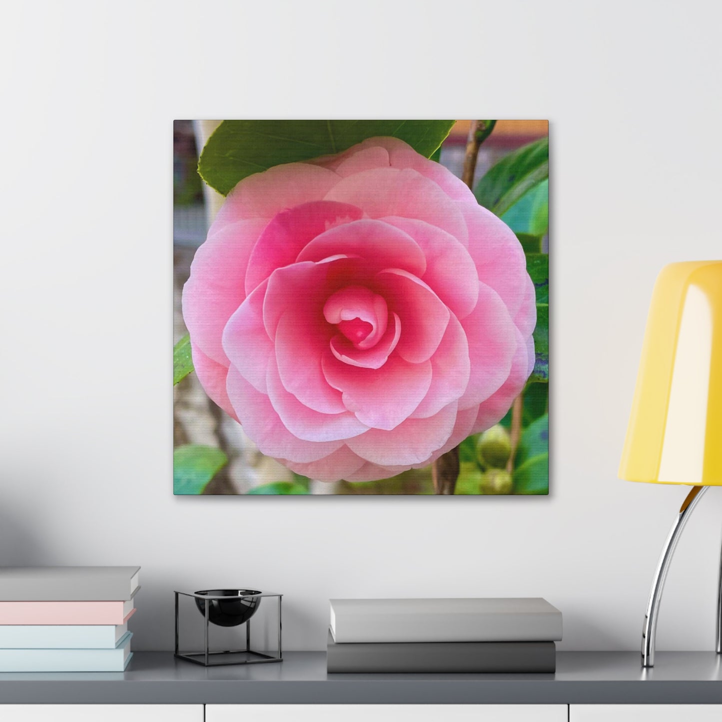 Pink Rose - Jon Carrasco Curations Gardens of the World Collection