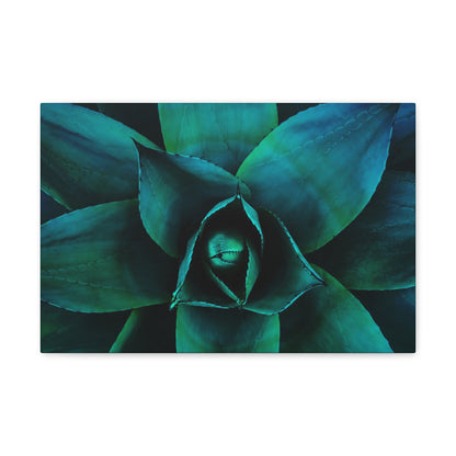 Agave 3- Jon Carrasco Curations Gardens of the World Collection