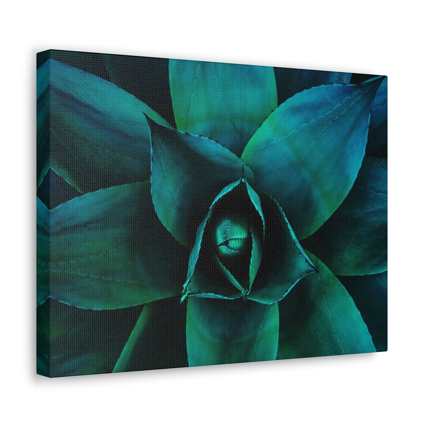 Agave 3- Jon Carrasco Curations Gardens of the World Collection