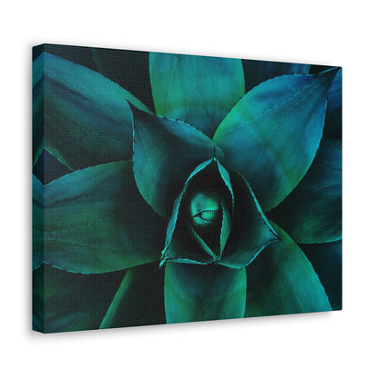 Agave 3- Jon Carrasco Curations Gardens of the World Collection