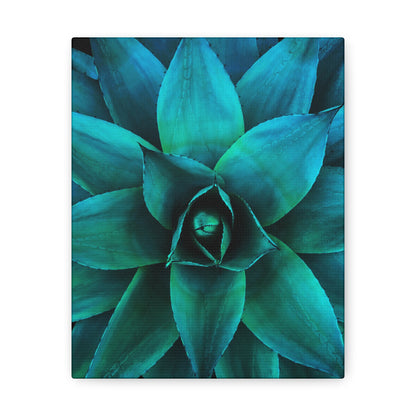 Agave 2- Jon Carrasco Curations Gardens of the World Collection