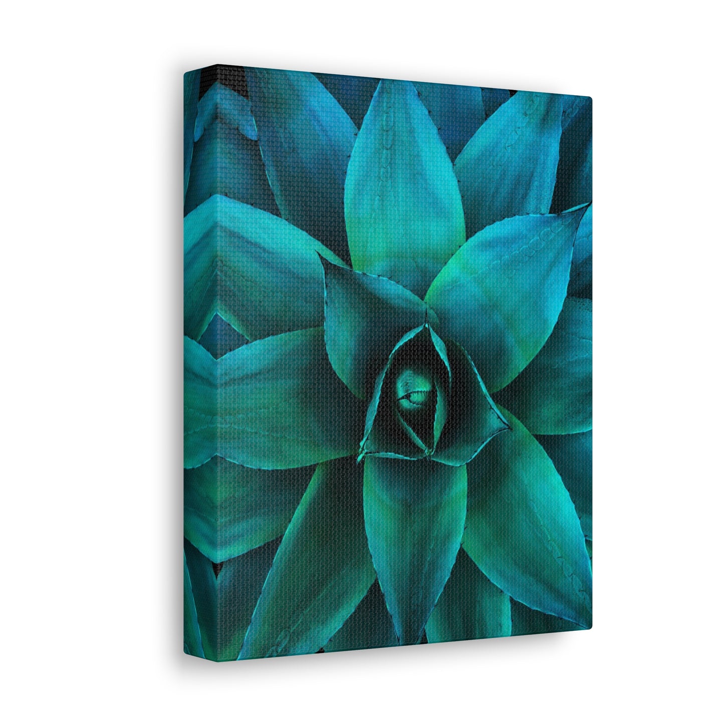 Agave 2- Jon Carrasco Curations Gardens of the World Collection