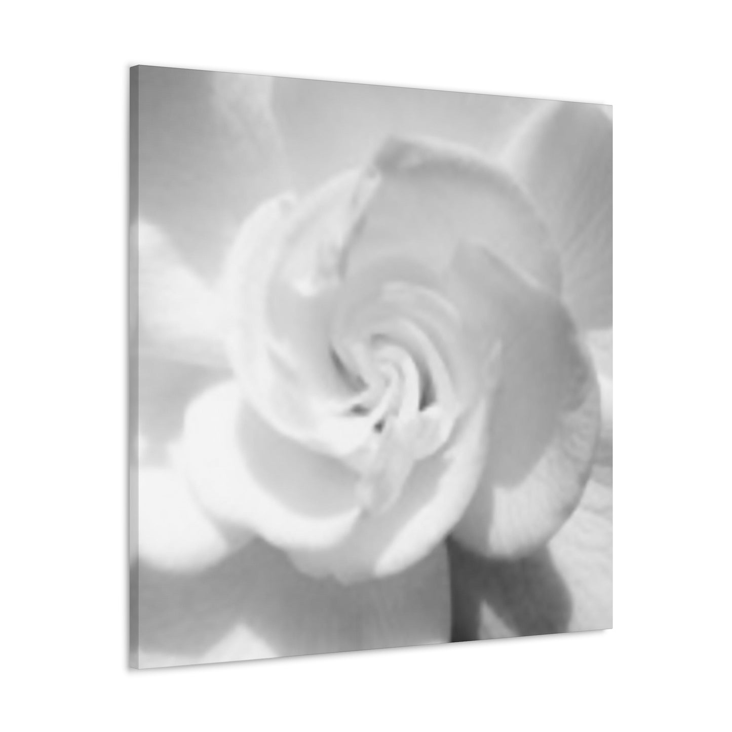 Abstract Gardenia- Jon Carrasco Curations Gardens of the World Collection