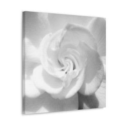 Abstract Gardenia- Jon Carrasco Curations Gardens of the World Collection