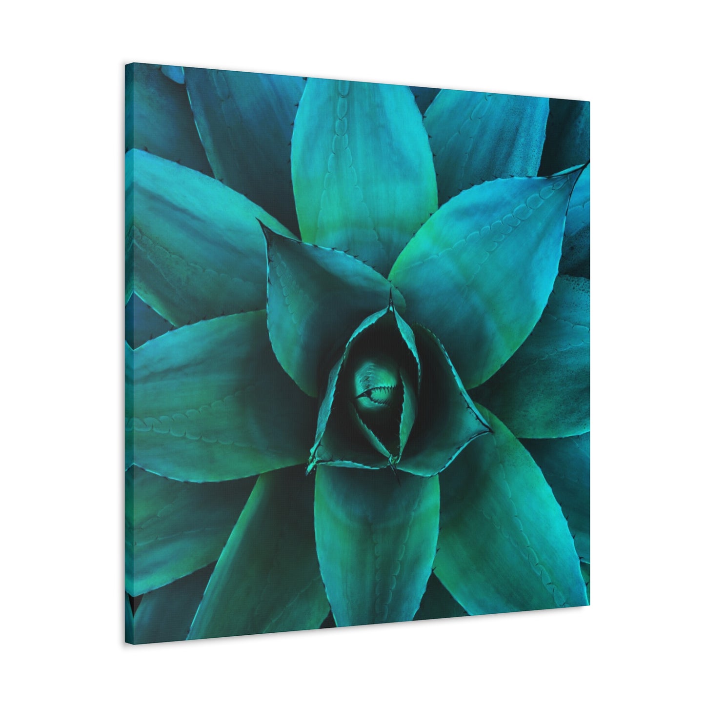 Agave 2- Jon Carrasco Curations Gardens of the World Collection