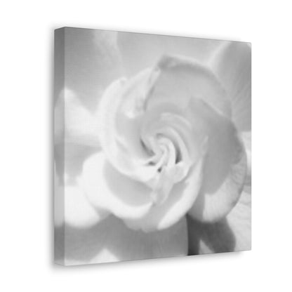 Abstract Gardenia- Jon Carrasco Curations Gardens of the World Collection