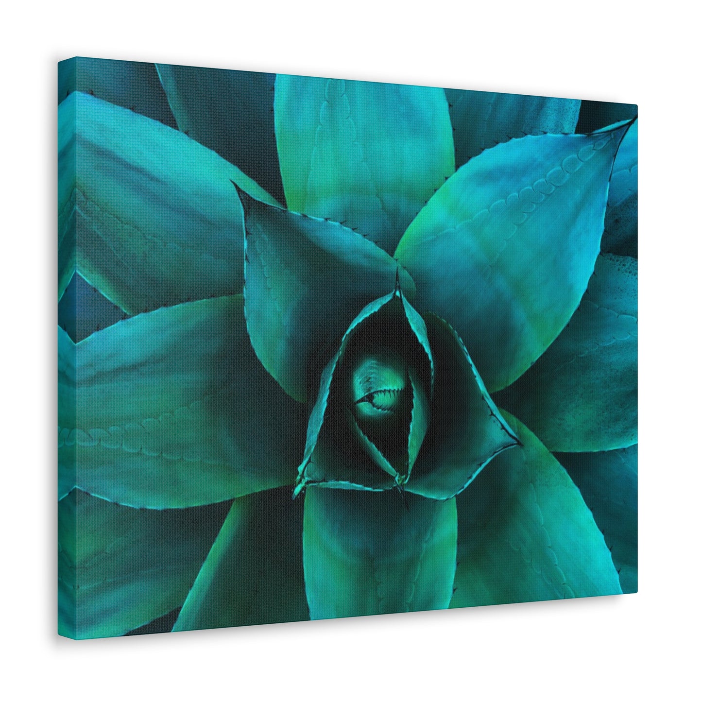 Agave 2- Jon Carrasco Curations Gardens of the World Collection