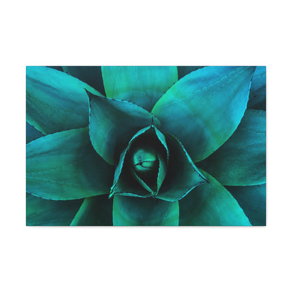 Agave 2- Jon Carrasco Curations Gardens of the World Collection