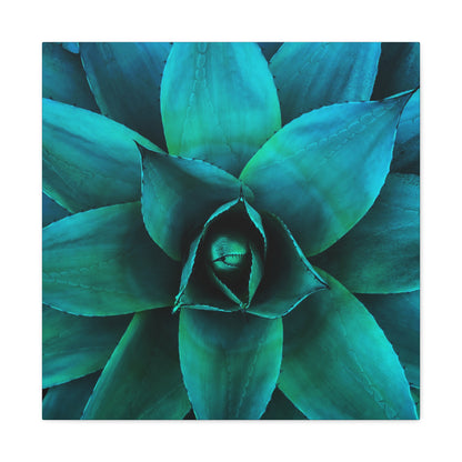 Agave 2- Jon Carrasco Curations Gardens of the World Collection