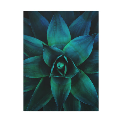 Agave 3- Jon Carrasco Curations Gardens of the World Collection