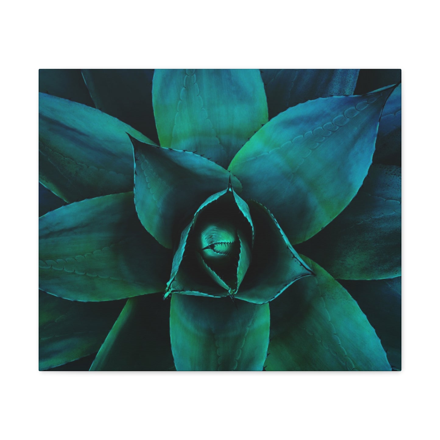 Agave 3- Jon Carrasco Curations Gardens of the World Collection