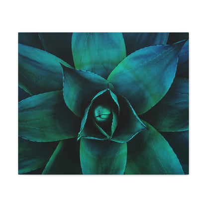 Agave 3- Jon Carrasco Curations Gardens of the World Collection