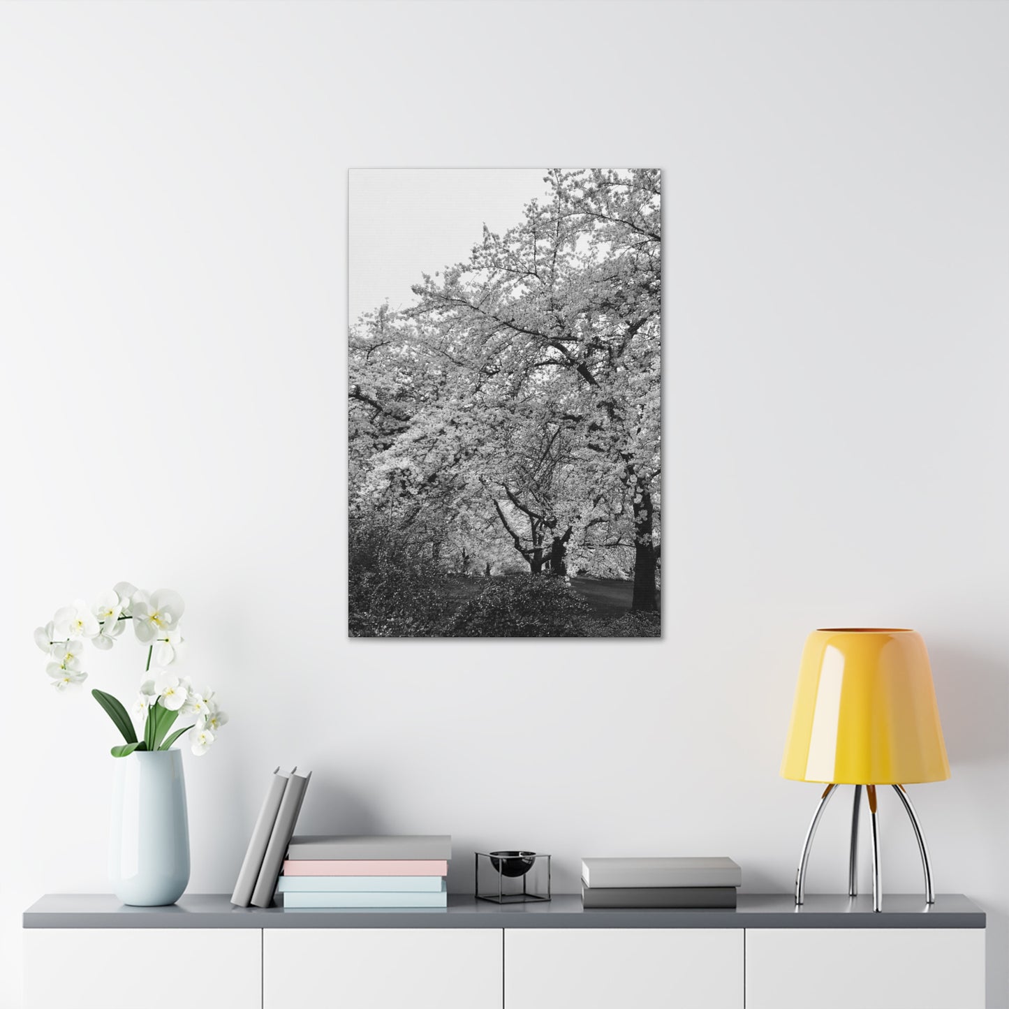 Cherry Blossom - Jon Carrasco Curations Black and White Collection