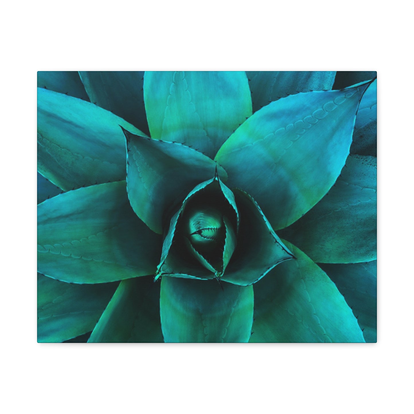 Agave 2- Jon Carrasco Curations Gardens of the World Collection